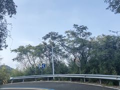 -会稽山峡洞漂流-上青古道