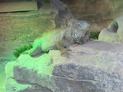 -蓉府金足印象影院式足道·按摩·SPA·美食(青白江31分店)