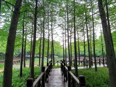 -尚贤河湿地