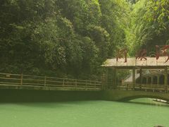 -阿依河景区