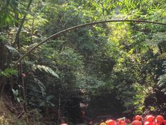 -古龙峡漂流