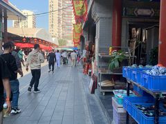 -潘家园(地铁站)