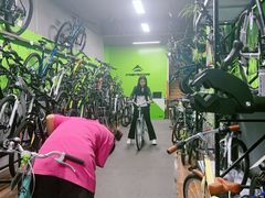 -道路口单车爱瓦士dahon大行