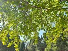 -周恩来同志少年读书旧址