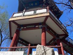 -莲花池公园