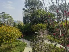 -王借岗森林公园