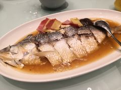 -新吉士·上海菜(浦东LCM置汇旭辉店)