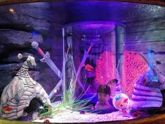 -沈阳海洋探索中心