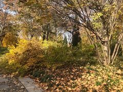 -石家庄市植物园