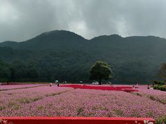 -广州市石门国家森林公园