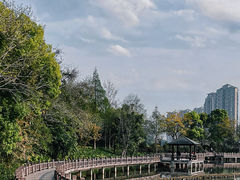 -金山公园