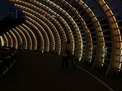 -深圳湾公园(南山区)