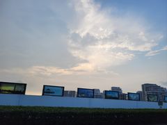 -碧海金沙