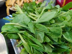 -大龙火锅(老店)