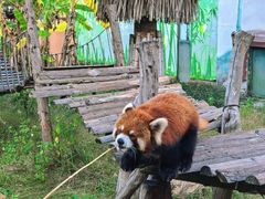 -泉州海丝野生动物世界