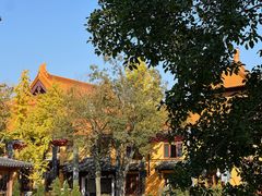 -亭林园-华藏寺