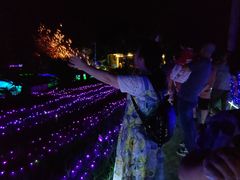 -东南花都花博园
