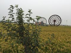 景点-稻梦空间
