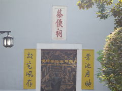 -蔡伦竹海