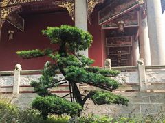 -南岳衡山风景名胜区-南岳大庙