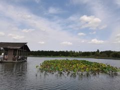 -溱湖国家湿地公园