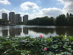 -新江湾城公园
