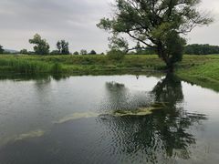 -良渚古城遗址公园