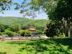 -三亚南山文化旅游区