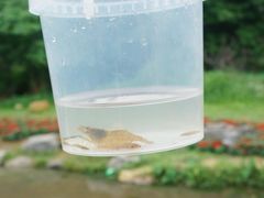 -黄埔油麻山森林公园