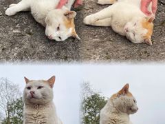 -天台山赤城山景区