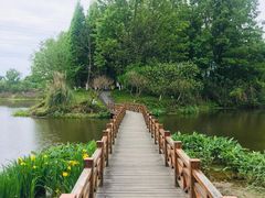 -桤木河湿地公园