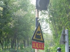 -西青郊野公园