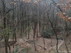 -波尔登森林公园