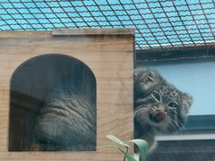 -青藏高原野生动物园