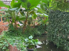 -金稼园·金平湖农家菜