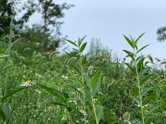 -大连北马山庄