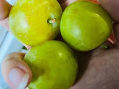 -呼吸森林·生态农庄农家乐私房菜