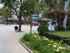 -南宫五洲植物乐园