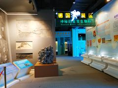 -辽宁古生物博物馆