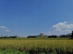 -光明小镇欢乐田园