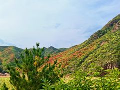 -塞罕坝国家级自然保护区