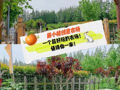 -前小桔亲子创意农场·草莓采摘·露营烧烤