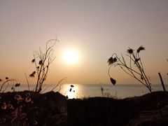 -青岛海滨风景区