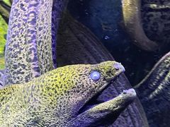 -太平洋海底世界