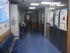 -美联众合动物医院(·中兽医·疑难杂症·严家桥分院)