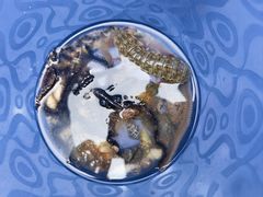 -三亚西岛海洋文化旅游区