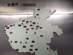 -河南自然博物馆