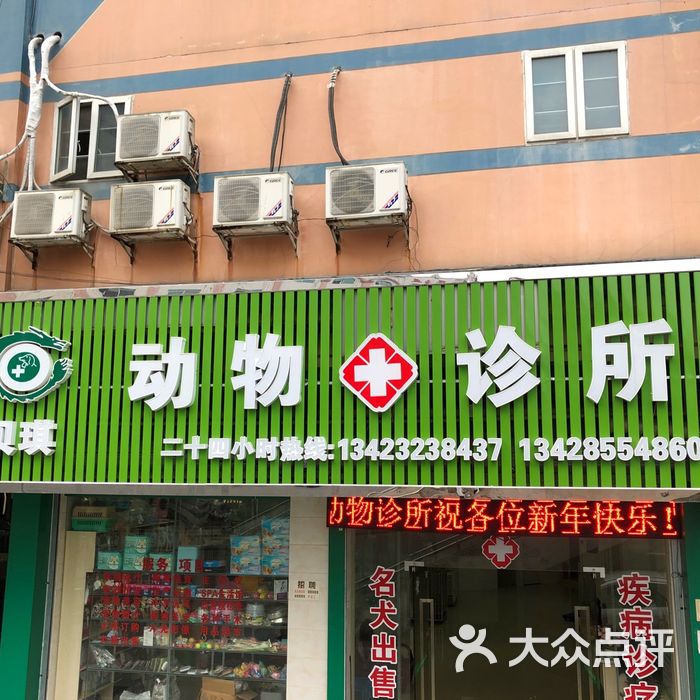 虎门贝琪动物诊所图片-北京宠物医院-大众点评网