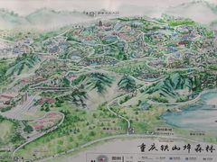 -铁山坪森林公园