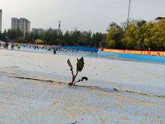 -欢乐水魔方水世界